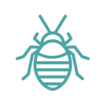 Disinfestazione cimici dei letti a napoli