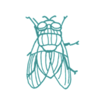 Disinfestazione mosche a napoli