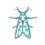 Disinfestazione tarme provincia napoli