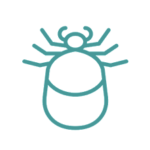 Disinfestazioni zecche provincia di napoli